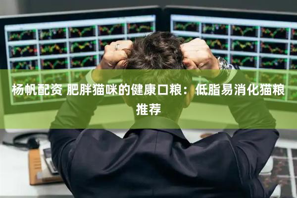 杨帆配资 肥胖猫咪的健康口粮：低脂易消化猫粮推荐